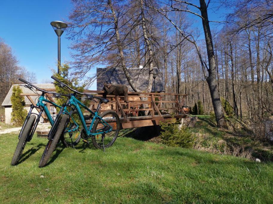 Vodenica Vrelo Chalets Vrelo Koreničko Zewnętrze zdjęcie