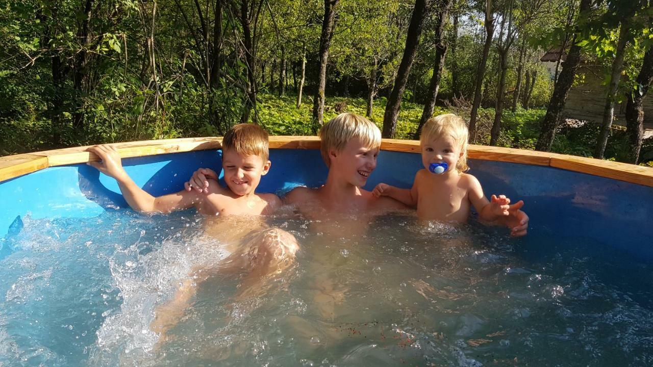 Vodenica Vrelo Chalets Vrelo Koreničko Zewnętrze zdjęcie