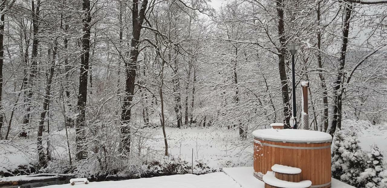 Vodenica Vrelo Chalets Vrelo Koreničko Zewnętrze zdjęcie