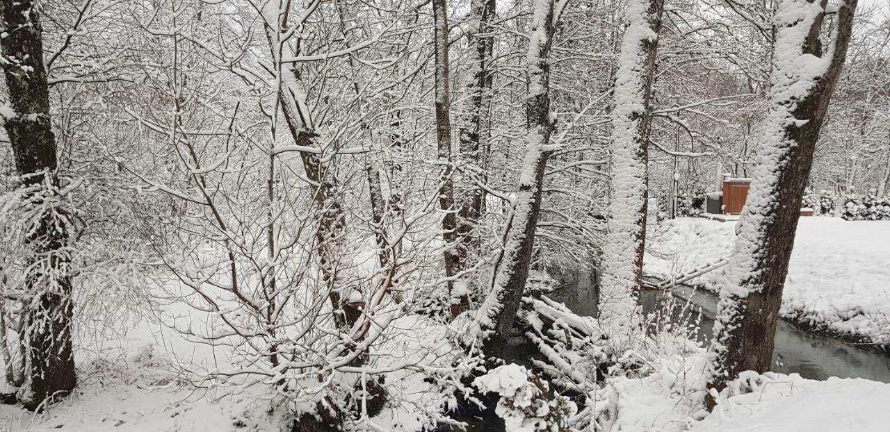 Vodenica Vrelo Chalets Vrelo Koreničko Zewnętrze zdjęcie